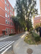 热爱校园勤学逐梦，匠心笃行绽放青春